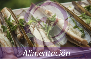 alimentacion